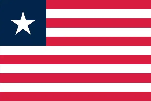 Flag Documentation 